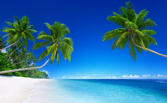 Hottest Nordic Beach Image